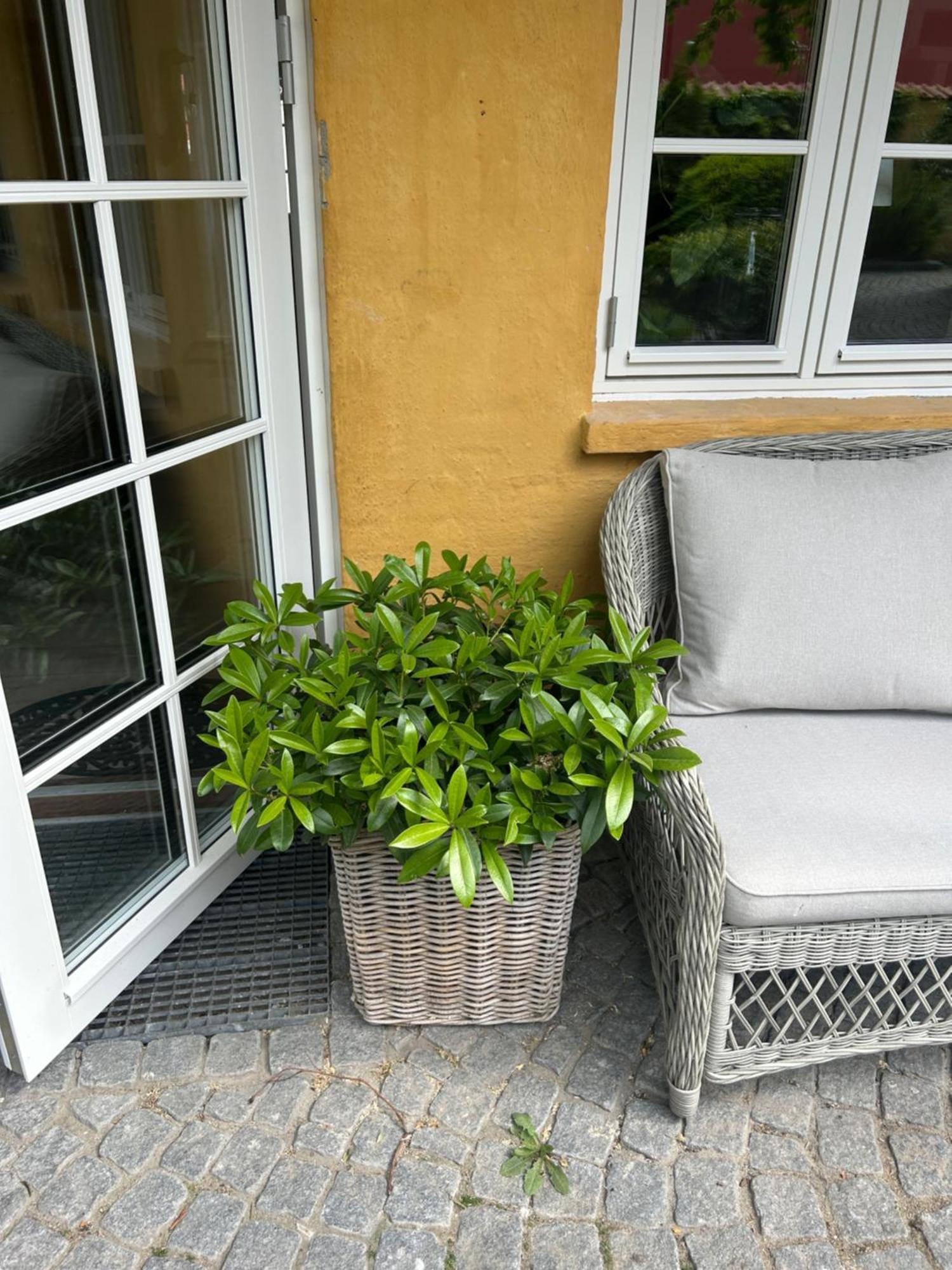Vidunderligt Hus M/Egen Gardhave - Midt I Centrum Apartment Aalborg Exterior photo